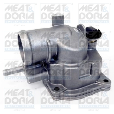 Thermostat, coolant